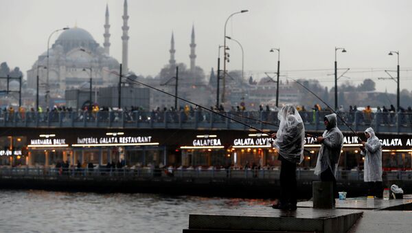 İstanbul, arxiv şəkli - Sputnik Azərbaycan