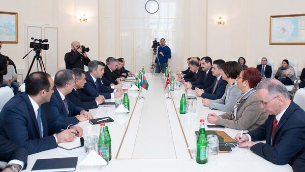 Встреча делегаций министерств сельского хозяйства Азербайджана и Турции в Баку - Sputnik Азербайджан
