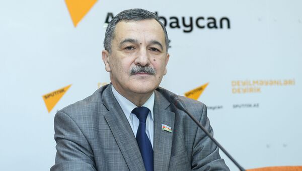 Заместитель председателя комитета Милли Меджлиса Айдын Мирзазаде - Sputnik Azərbaycan
