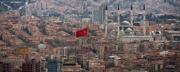Anakaranın bir görünüşü Anakaranın bir görünüşü - Sputnik Азербайджан