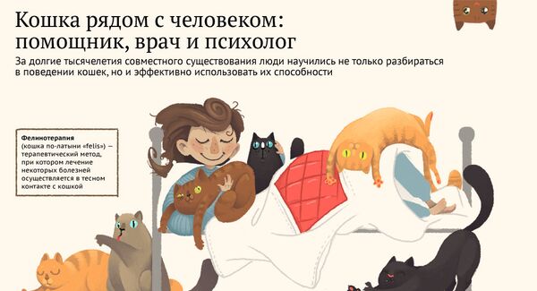 Постиранная в центрифуге кошка очнулась при разговоре о ее кремации Постиранная в центрифуге кошка очнулась при разговоре о ее кремации - Sputnik Азербайджан