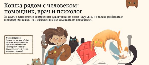 Кошка рядом с человеком: помощник, врач и психолог Кошка рядом с человеком: помощник, врач и психолог - Sputnik Азербайджан