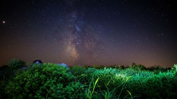 Звездное небо, наблюдаемое в Краснодарском крае во время метеорного потока Персеиды - Sputnik Азербайджан
