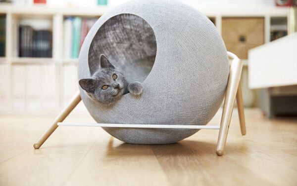 Мебель для кошек от Tuft + Paw - Sputnik Азербайджан
