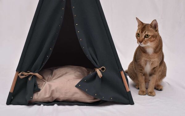 Мебель для кошек от Tuft + Paw - Sputnik Азербайджан