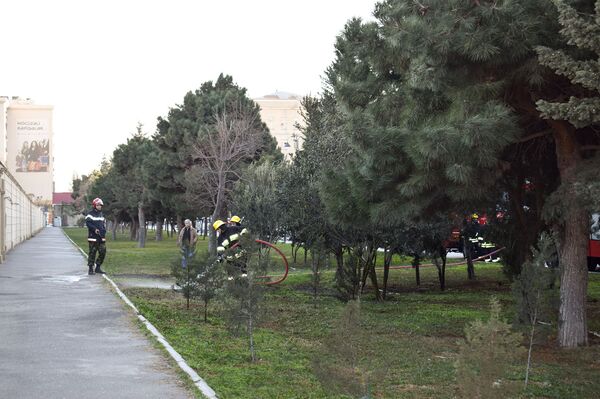 В переполохе на проспекте Метбуат оказался виноват ландшафтный дизайнер - фото - Sputnik Азербайджан