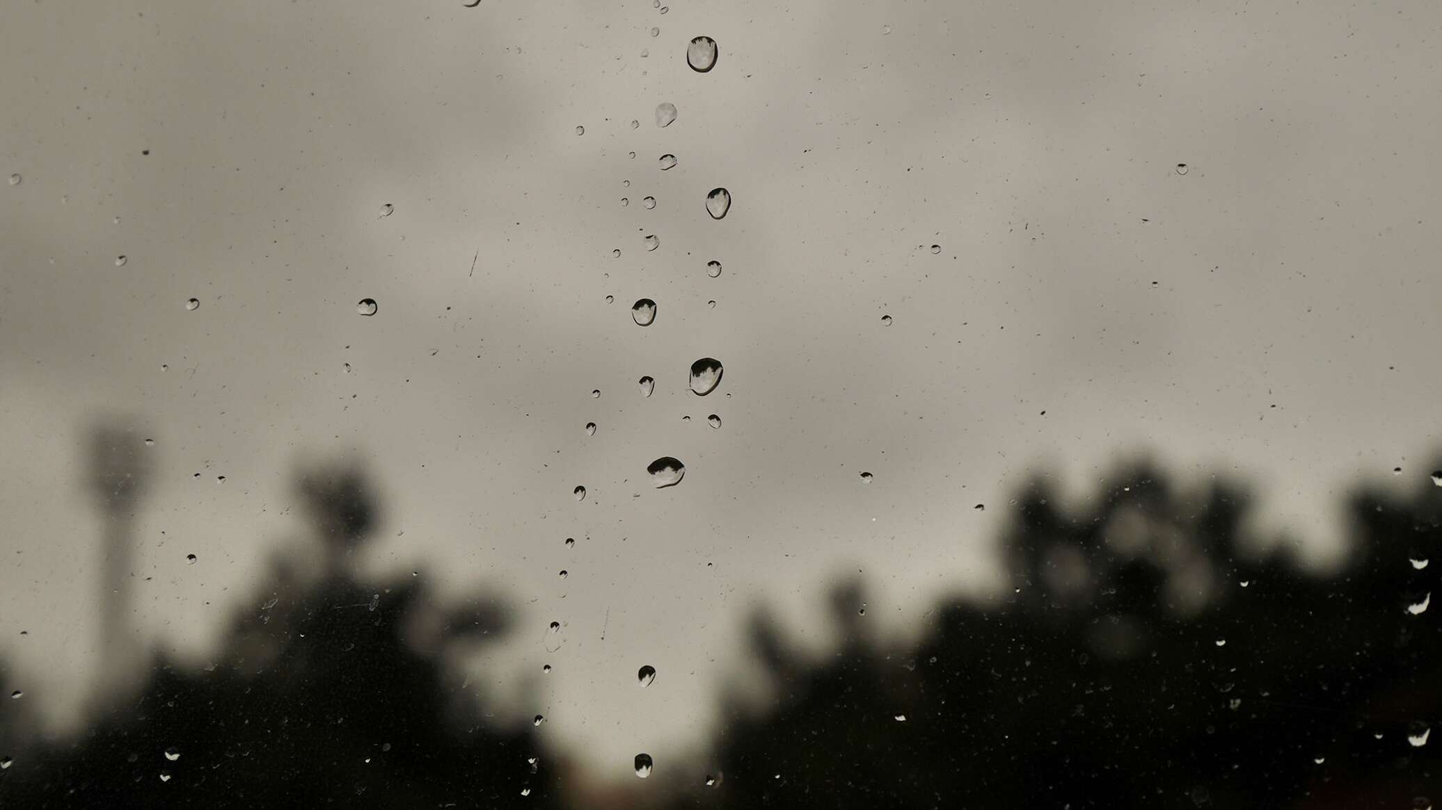 Rain back. Дождь в Баку.