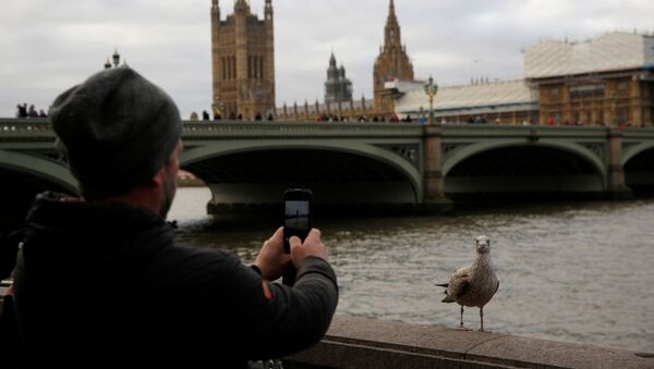Мужчина фотографирует птицу на южном берегу реки Темзы на фоне Вестминстерского моста и здания Парламента в центре Лондона - Sputnik Азербайджан
