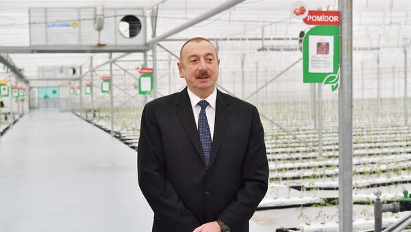 Президент Ильхам Алиев принял участие в открытии Научно-исследовательского института овощеводства - Sputnik Azərbaycan