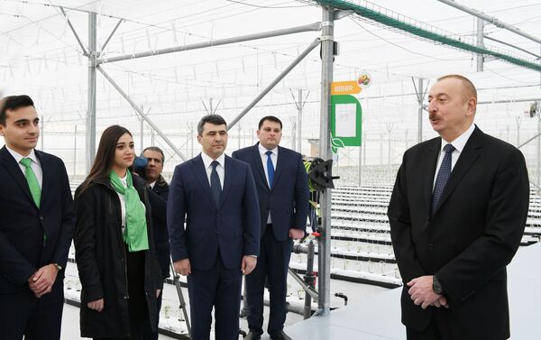 Президент Ильхам Алиев принял участие в открытии Научно-исследовательского института овощеводства - Sputnik Азербайджан