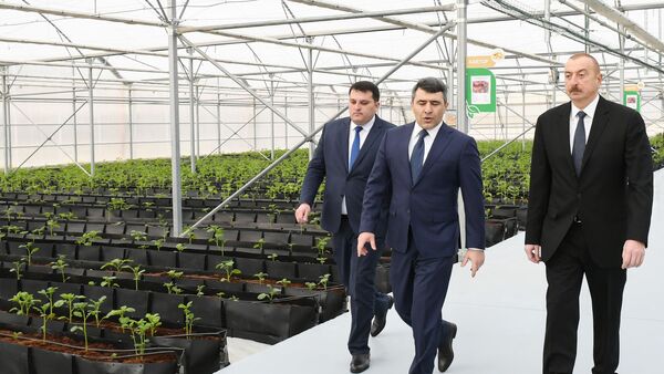 Президент Ильхам Алиев принял участие в открытии Научно-исследовательского института овощеводства - Sputnik Азербайджан