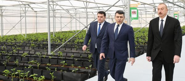 Президент Ильхам Алиев принял участие в открытии Научно-исследовательского института овощеводства Президент Ильхам Алиев принял участие в открытии Научно-исследовательского института овощеводства - Sputnik Азербайджан