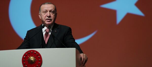 Türkiyə prezidenti Rəcəb Tayyib Ərdoğan - Sputnik Азербайджан