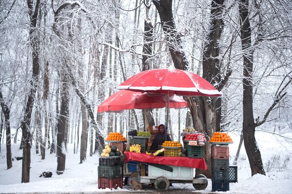 Продавец фруктов ждет покупателей во время снегопада в Сринагаре, Индия - Sputnik Азербайджан