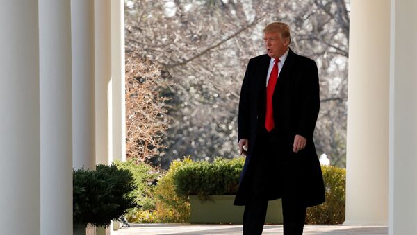 Президент США Дональд Трамп прибыл, чтобы поговорить о сделке по прекращению частичного закрытия правительства в Розовом саду в Белом доме в Вашингтоне, США - Sputnik Азербайджан