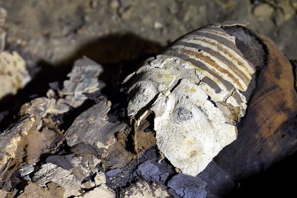Мумия, найденные на территории древнего кладбища в районе Туна эль-Габаль в провинции эль-Минья в центральной части Египта - Sputnik Азербайджан