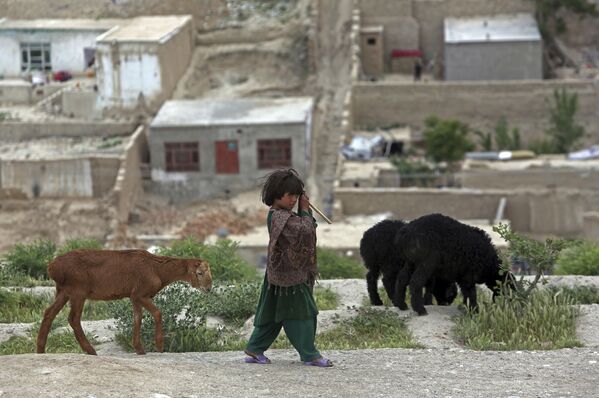 Ребенок-кочевник-афганец Кучи пасет своих овец на вершине холма Надир-Хан в Кабуле, Афганистан - Sputnik Азербайджан