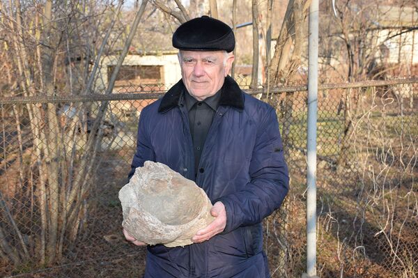 Мамонт или динозавр: в Мингячевире хранится окаменелость древнего гиганта - Sputnik Азербайджан