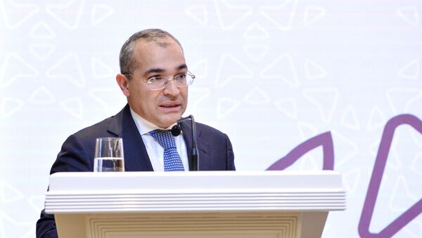 Министр налогов Микаил Джаббаров - Sputnik Azərbaycan