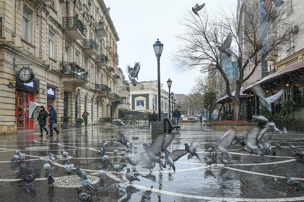 Первый мокрый снег в Баку - Sputnik Азербайджан