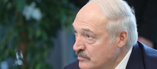 Президент Беларуси Александр Лукашенко, фото из архива - Sputnik Азербайджан