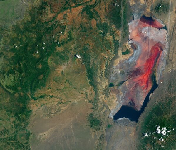Вид из космоса соленого и щелочного озера Натрон в Танзании - Sputnik Азербайджан