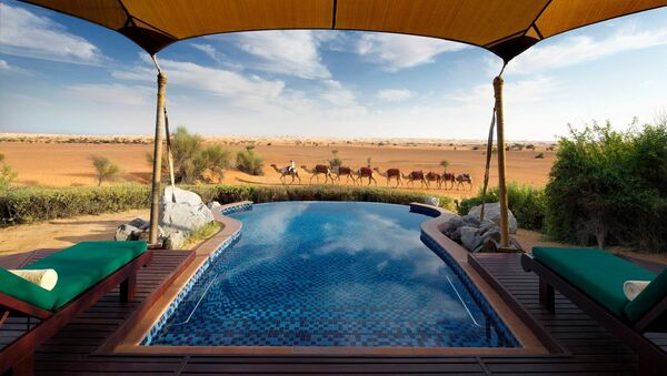 Вид из сьюта отеля Al Maha A Luxury Collection Desert - Sputnik Азербайджан