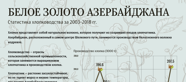 Хлопок инфографика Хлопок инфографика - Sputnik Азербайджан