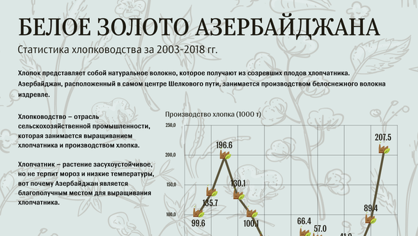 Хлопок инфографика - Sputnik Азербайджан