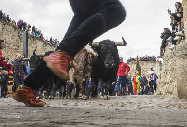 Люди бегут вместе с быками по улицам во время Карнавала дель Торо в Сьюдад-Родриго, Испания - Sputnik Азербайджан