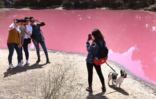 Люди фотографируются у озера, которая которое стало ярко-розовым благодаря высокому уровню соли и жаркой погоде в Мельбурне, Австралия - Sputnik Азербайджан