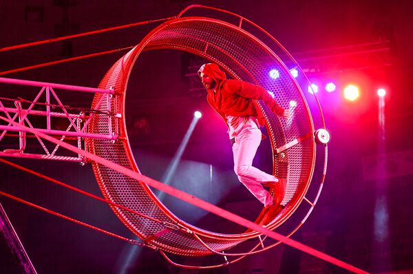 Цирковое представление Большого московского государственного цирка под названием Талисман в Баку - Sputnik Азербайджан