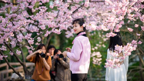 Посетители в ботаническом саду Нанкина позируют у цветущей вишни, Китай - Sputnik Азербайджан