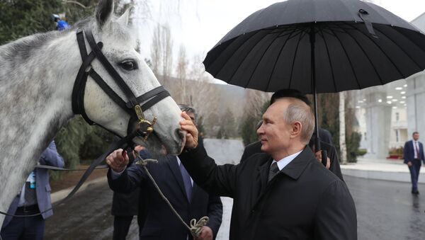 Qırğızıstan prezidenti Sooronbay Jeenbekov rusiyalı həmkarı Vladimir Putinə bağışladığı at - Sputnik Azərbaycan