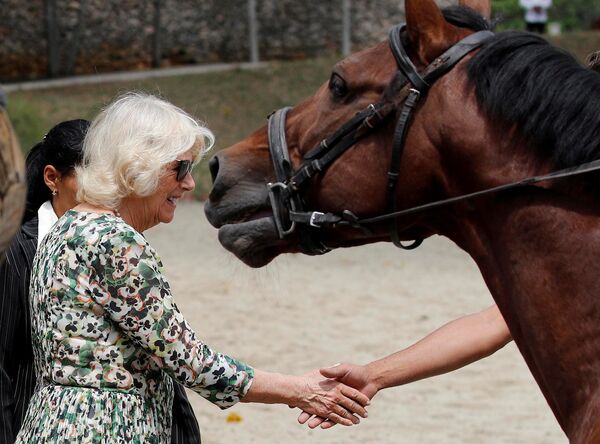 Камилла, герцогиня Корнуольская во время посещения Национального конного центра в Гаване, Куба - Sputnik Азербайджан