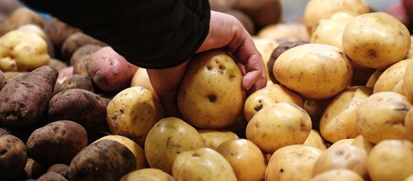 Овощной отдел в гипермаркете Овощной отдел в гипермаркете - Sputnik Азербайджан