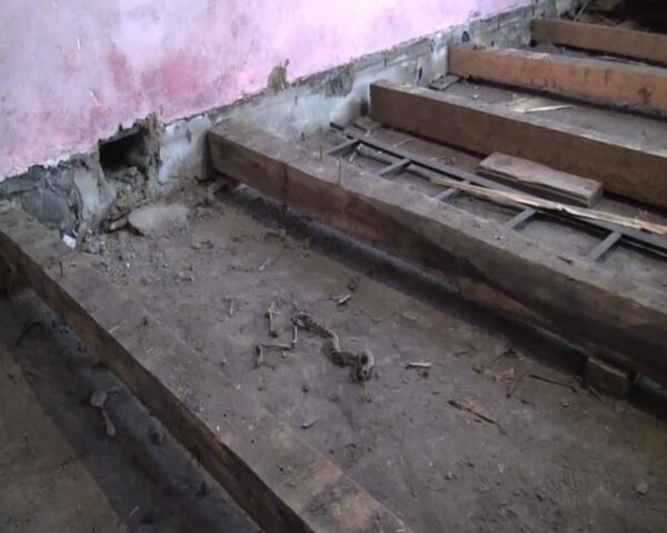 Странный скелет в подвале: житель Загаталы соседствовал с неизвестным животным - Sputnik Азербайджан