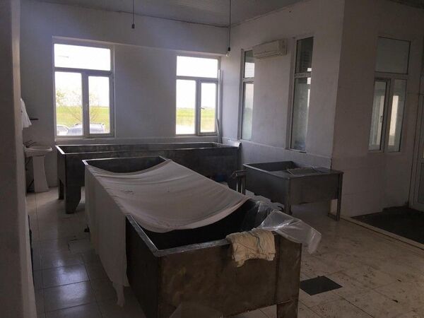 Подозрительный и опасный: в Масаллы производили сыр в антисанитарных условиях Подозрительный и опасный: в Масаллы производили сыр в антисанитарных условиях - Sputnik Азербайджан