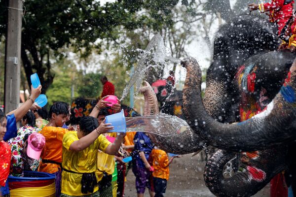 Люди и слоны обливаются водой во время празднования тайского Нового года - Sputnik Азербайджан