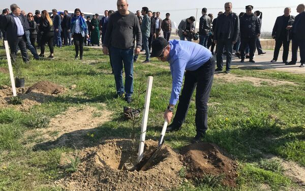 В Гобустанском заповеднике прошла массовая акция по посадке деревьев - Sputnik Азербайджан