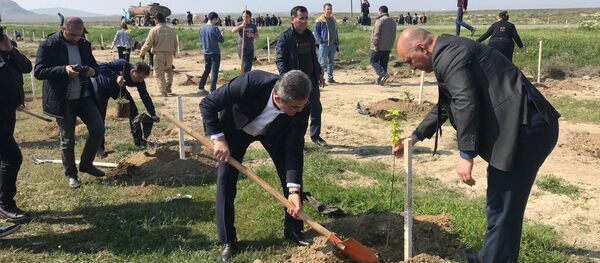 В Гобустанском заповеднике прошла массовая акция по посадке деревьев В Гобустанском заповеднике прошла массовая акция по посадке деревьев - Sputnik Азербайджан