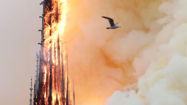 Пожар в соборе Парижской богоматери - Sputnik Azərbaycan