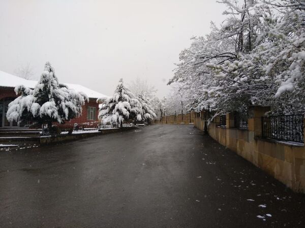 В Лерикском районе Азербайджана выпал снег - Sputnik Азербайджан