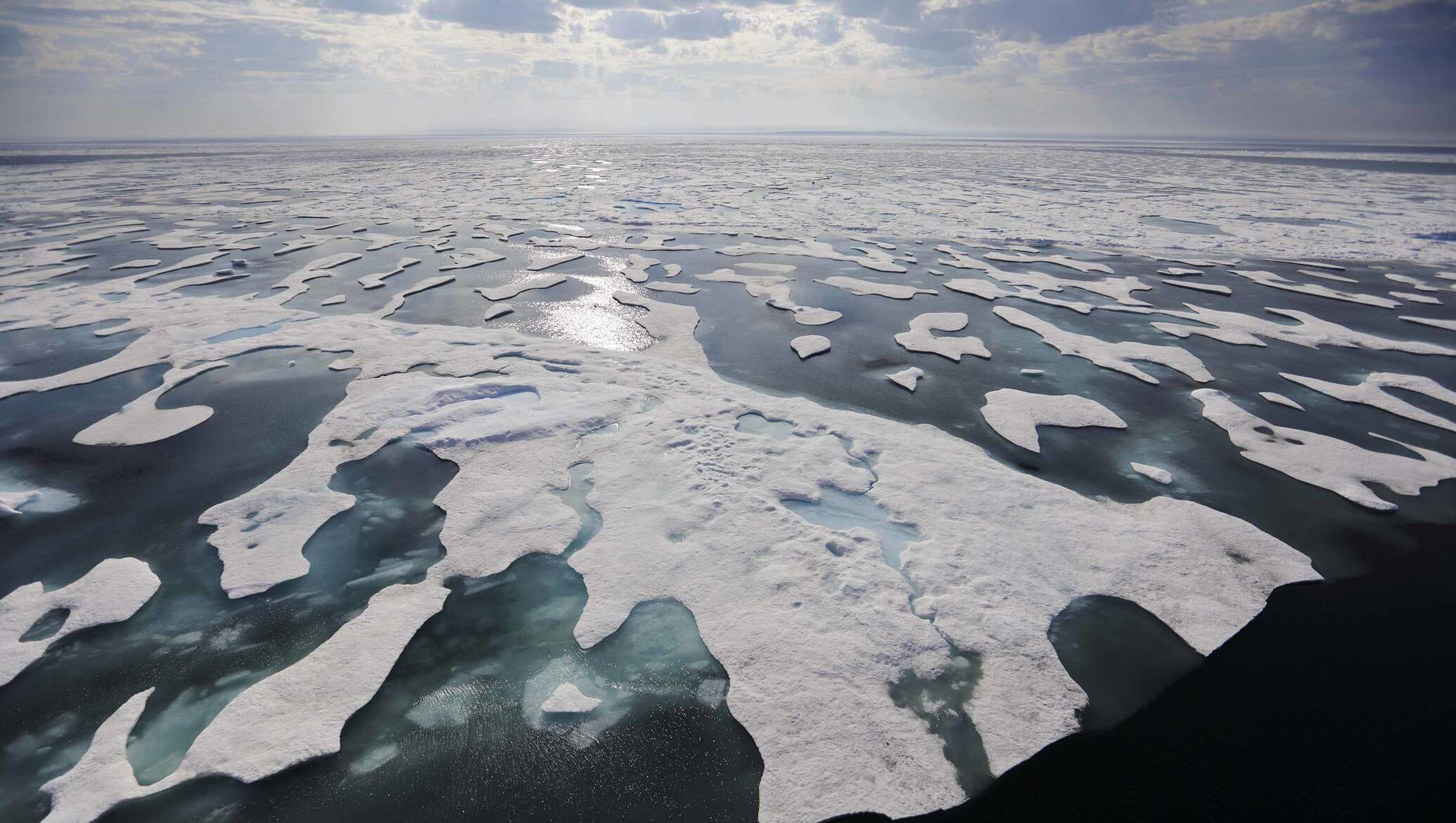 Последствия глобального потепления фото