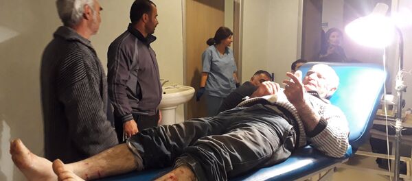 İt dişləyən Lənkəran sakini İt dişləyən Lənkəran sakini - Sputnik Азербайджан