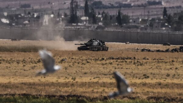 Голуби летают на фоне турецкого танка, прибывшего из Сирии после столкновений между турецкой армией и боевиками ИГИЛ  - Sputnik Azərbaycan