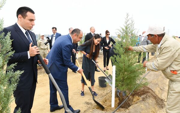 Президент Азербайджанской Республики Ильхам Алиев, первая леди Мехрибан Алиева и члены семьи приняли участие в акции по посадке деревьев, посвященной дню рождения великого лидера Гейдара Алиева - Sputnik Азербайджан