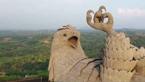 Дрон в Индии снял самую большую статую птицы на планете - Sputnik Азербайджан