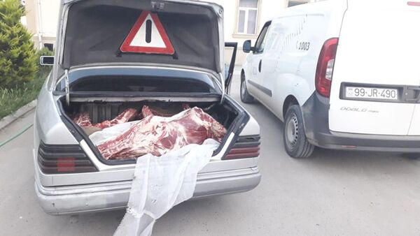 Тушу крупного рогатого скота весом 95 килограммов обнаружили сотрудники АПБ - Sputnik Азербайджан
