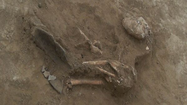 В Газахском районе Азербайджана обнаружены останки древних людей, убитых из лука - Sputnik Азербайджан